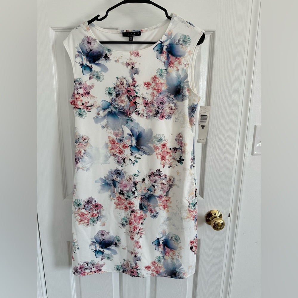 Floral Sleeveless Dress - White and Blue